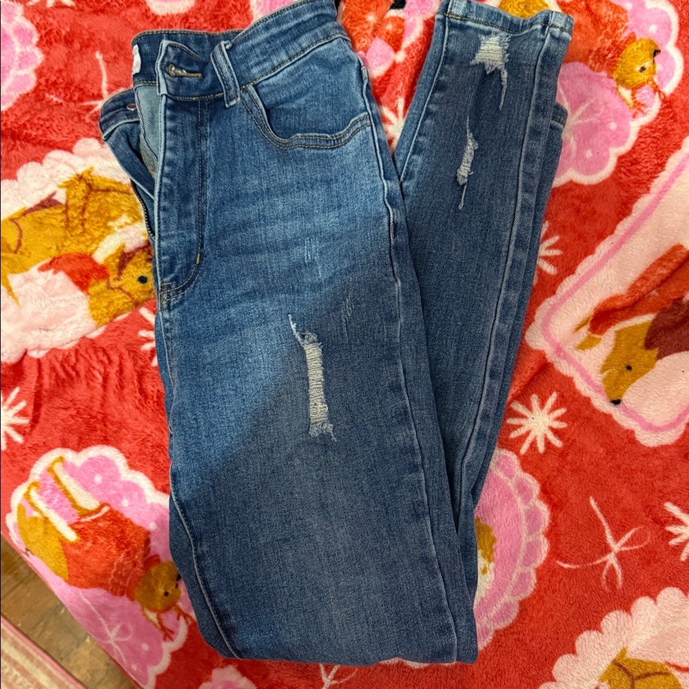 White Birch Distressed Denim Skinny Jeans